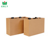 Eco-Friendly Custom Handle Kraft Paper Shopping Bags for Clothing