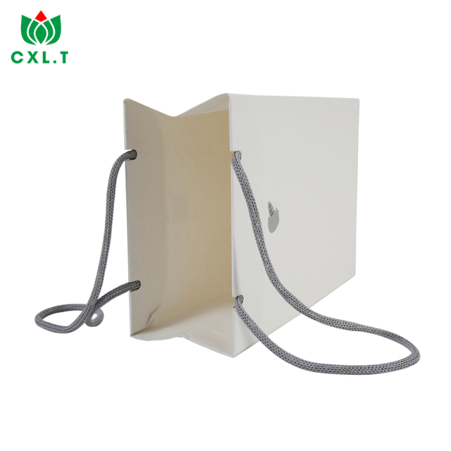 Recyclable Retail Logo Shopping Jewellery Wedding Gift Brand Clothing Custom Paper Bag