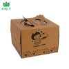 Custom Wholesale Foldable Paper Cardboard Corrugated Food Packaging Box with Handle