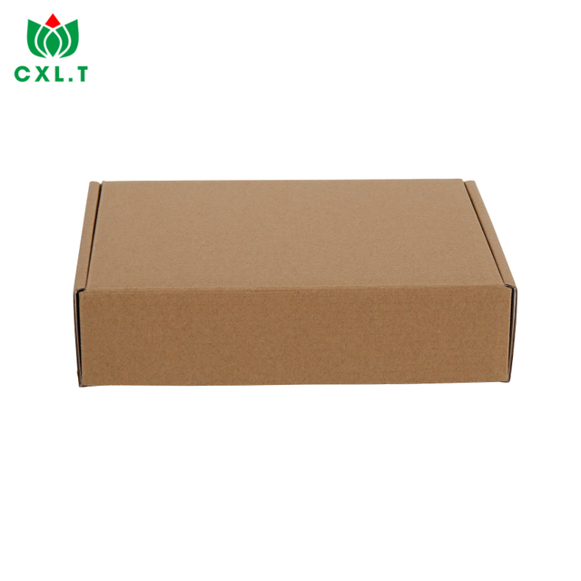 Corrugated Paper Cardboard Clothing Underwear Packaging Fly Custom Boxes with Logo