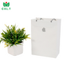 Recyclable Retail Logo Shopping Jewellery Wedding Gift Brand Clothing Custom Paper Bag
