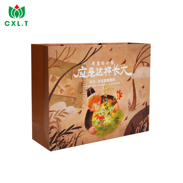 Cosmetics Jewelry Cloth Shopping Gift Kraft Paper Packing Bag