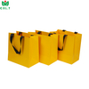 Custom Logo Luxury Kraft Art Paper Bag for Christmas Gifts